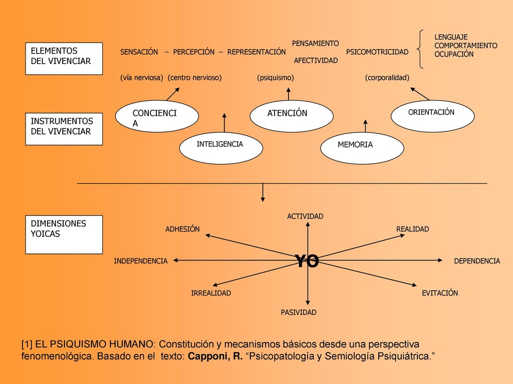 ELEMENTOS DEL VIVENCIAR. INSTRUMENTOS. DIMENSIONES. YOICAS. ADHESIÓN. ACTIVIDAD. REALIDAD. DEPENDENCIA.