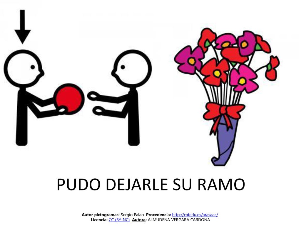 PUDO DEJARLE SU RAMO Autor pictogramas: Sergio Palao Procedencia:   Licencia: CC (BY-NC) Autora: ALMUDENA VERGARA CARDONA.