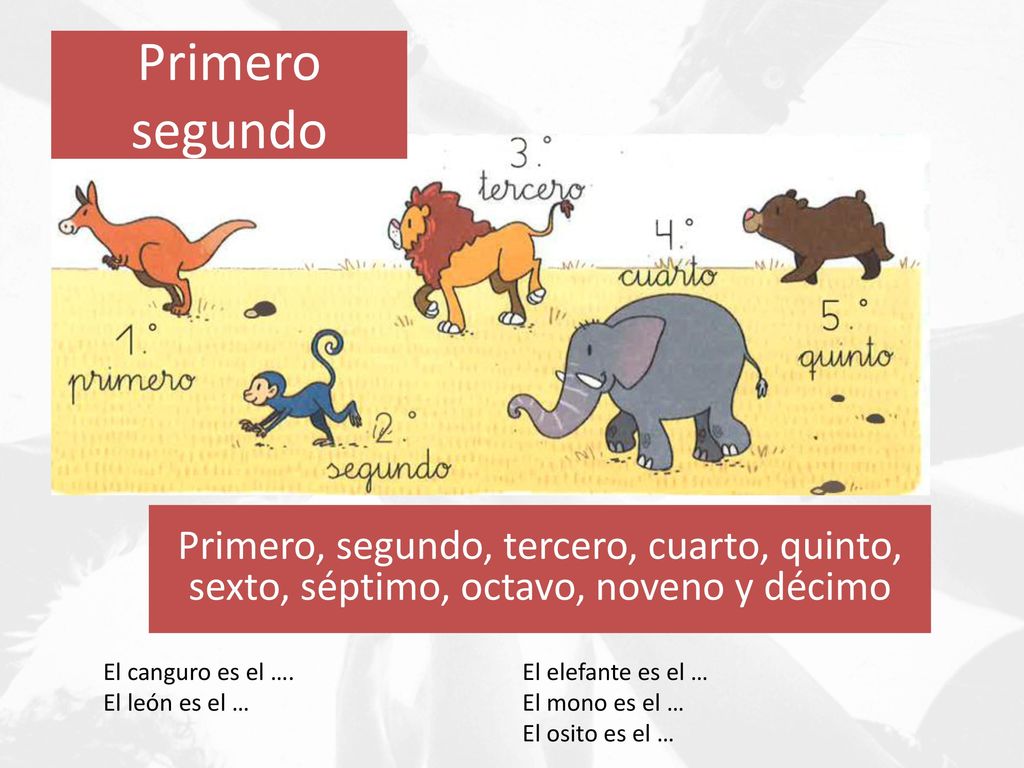 Primero segundo Primero, segundo, tercero, cuarto, quinto, sexto, séptimo, octavo, noveno y décimo.