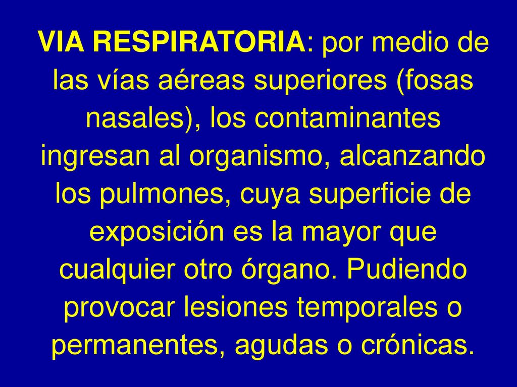 VIA RESPIRATORIA: por medio de las vías aéreas superiores (fosas nasales), los contaminantes ingresan al organismo, alcanzando los pulmones, cuya superficie de exposición es la mayor que cualquier otro órgano.