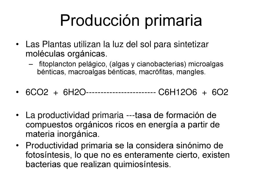 Producción primaria Las Plantas utilizan la luz del sol para sintetizar moléculas orgánicas.