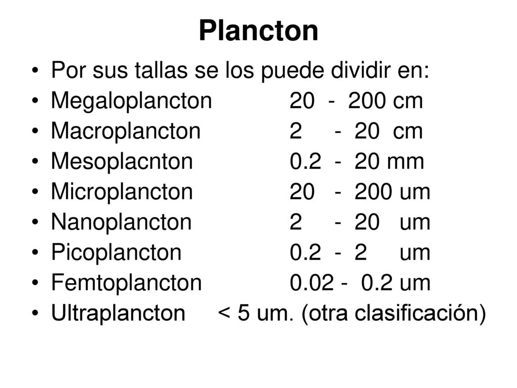 Plancton Por sus tallas se los puede dividir en: