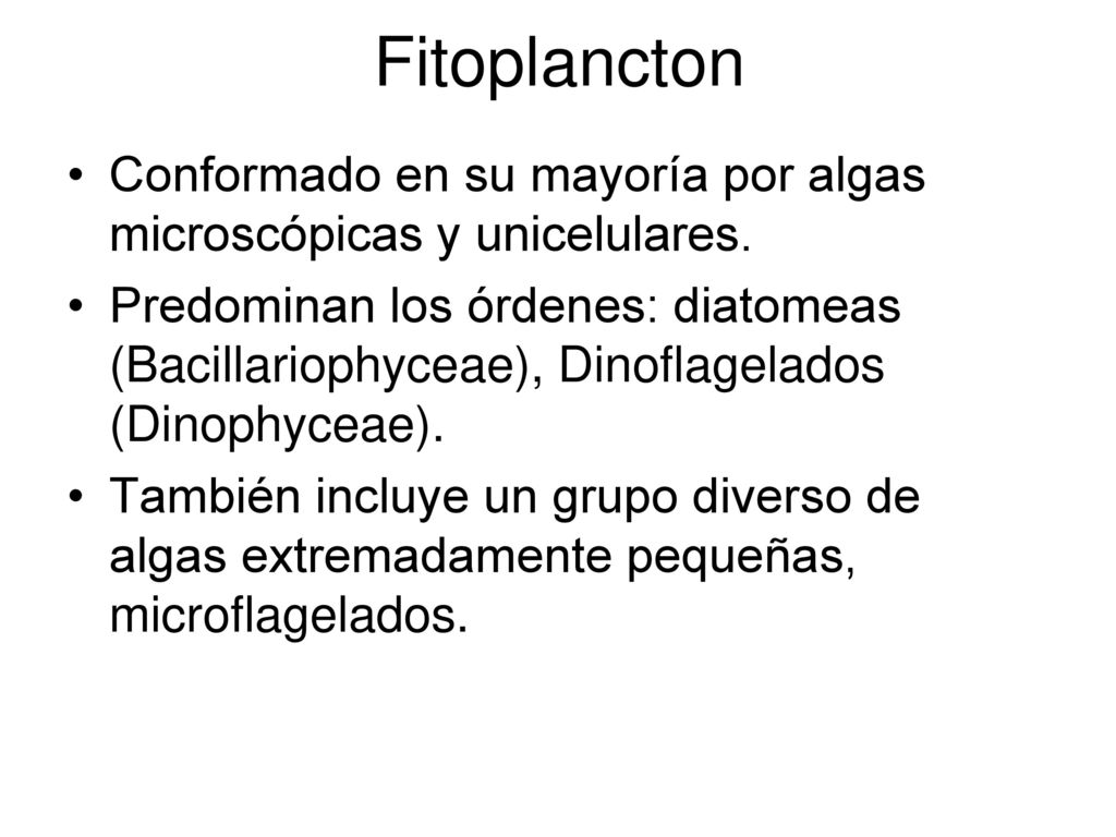 Fitoplancton Conformado en su mayoría por algas microscópicas y unicelulares.