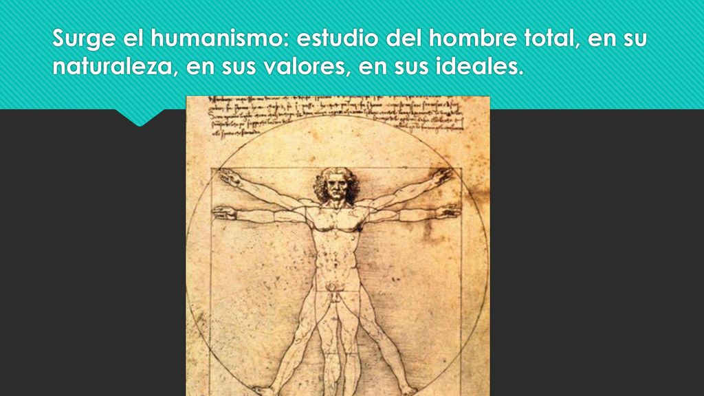 Surge el humanismo: estudio del hombre total, en su naturaleza, en sus valores, en sus ideales.