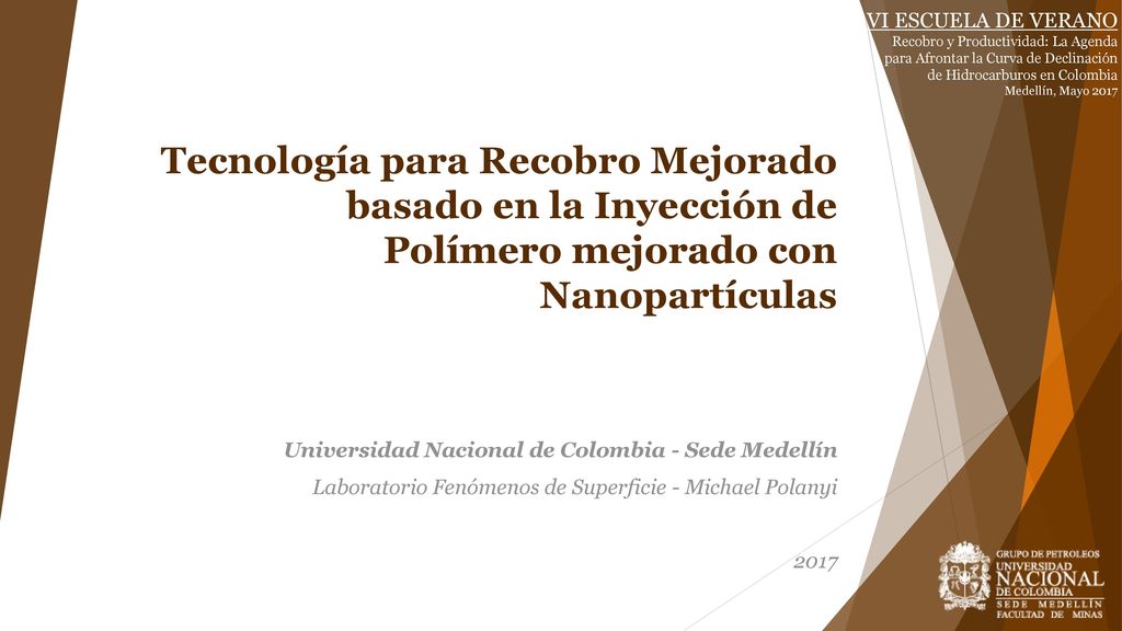 VI ESCUELA DE VERANO Recobro y Productividad: La Agenda para Afrontar la Curva de Declinación de Hidrocarburos en Colombia.