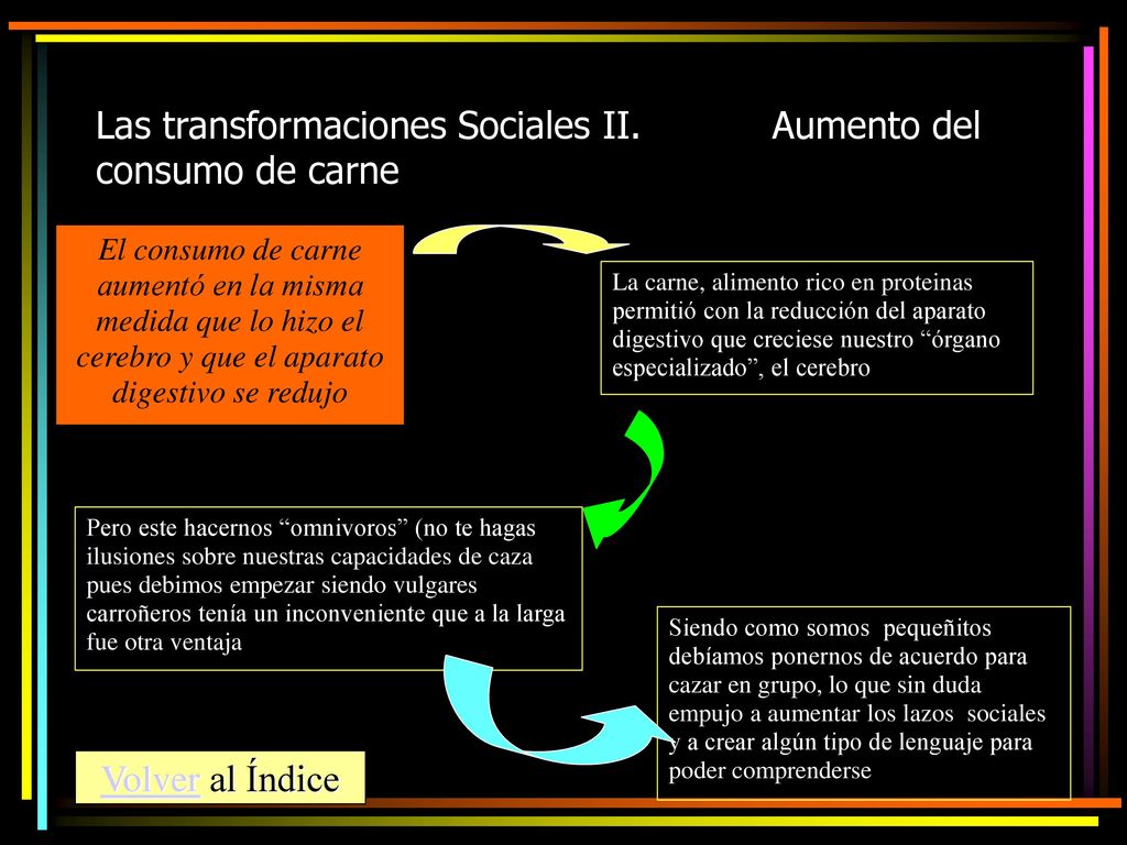 Las transformaciones Sociales II. Aumento del consumo de carne