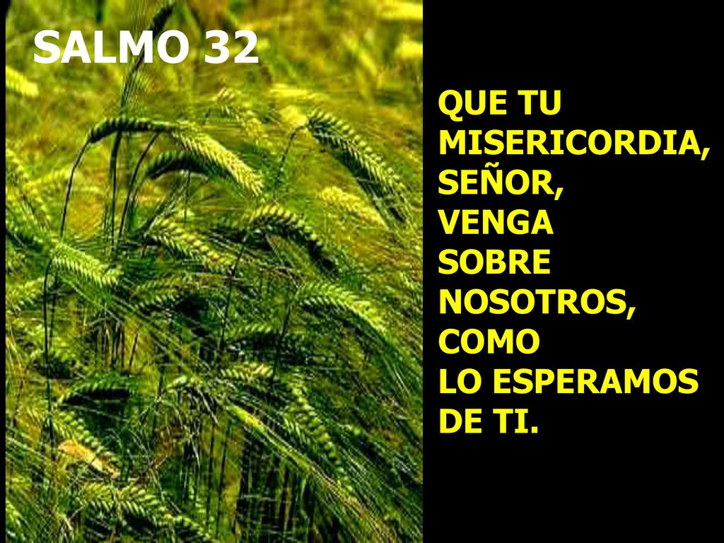 SALMO 32 QUE TU MISERICORDIA, SEÑOR, VENGA SOBRE NOSOTROS, COMO LO ESPERAMOS DE TI.