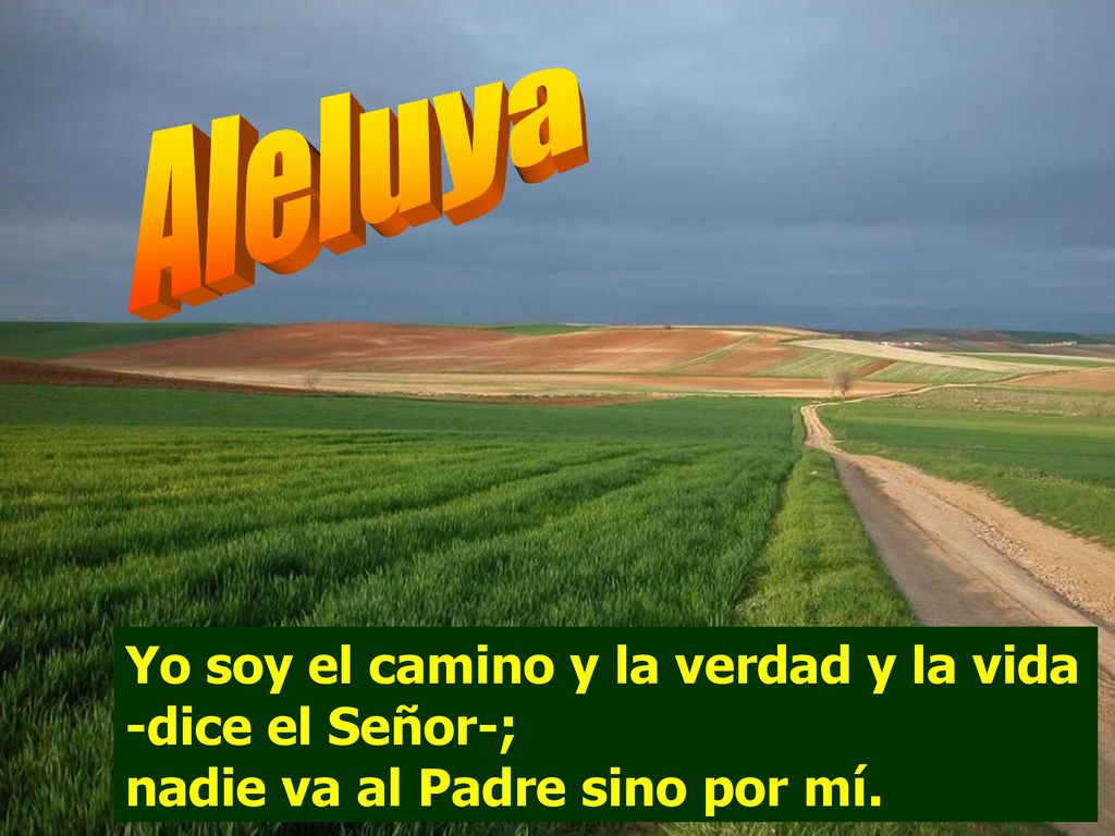 Aleluya Yo soy el camino y la verdad y la vida -dice el Señor-; nadie va al Padre sino por mí.
