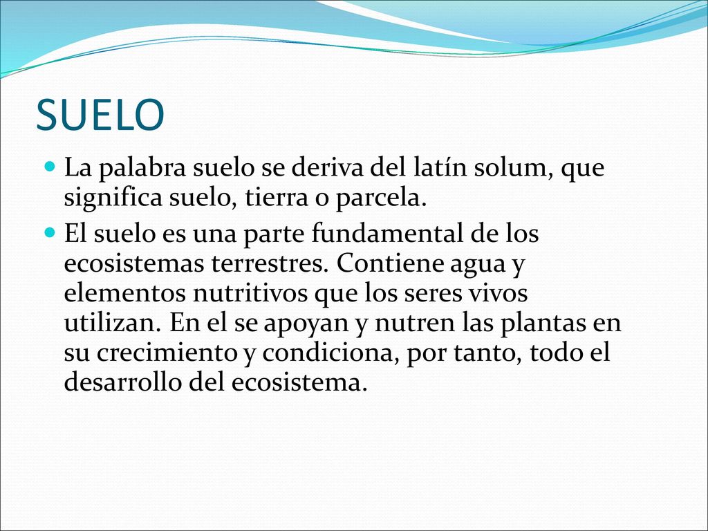 SUELO La palabra suelo se deriva del latín solum, que significa suelo, tierra o parcela.