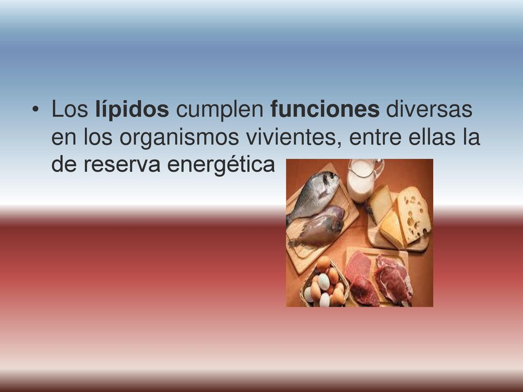 Los lípidos cumplen funciones diversas en los organismos vivientes, entre ellas la de reserva energética