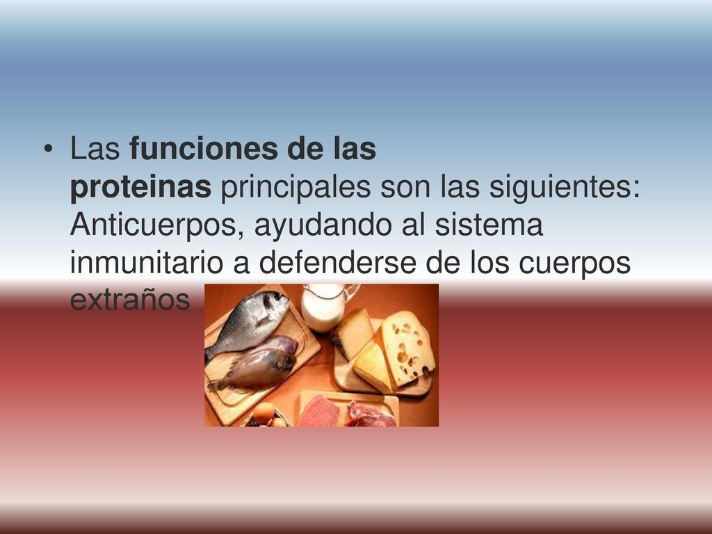 Las funciones de las proteinas principales son las siguientes: Anticuerpos, ayudando al sistema inmunitario a defenderse de los cuerpos extraños