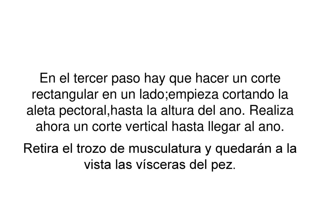 En el tercer paso hay que hacer un corte rectangular en un lado;empieza cortando la aleta pectoral,hasta la altura del ano. Realiza ahora un corte vertical hasta llegar al ano.
