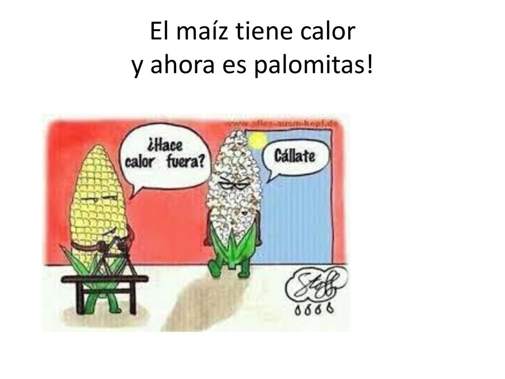 El maíz tiene calor y ahora es palomitas!