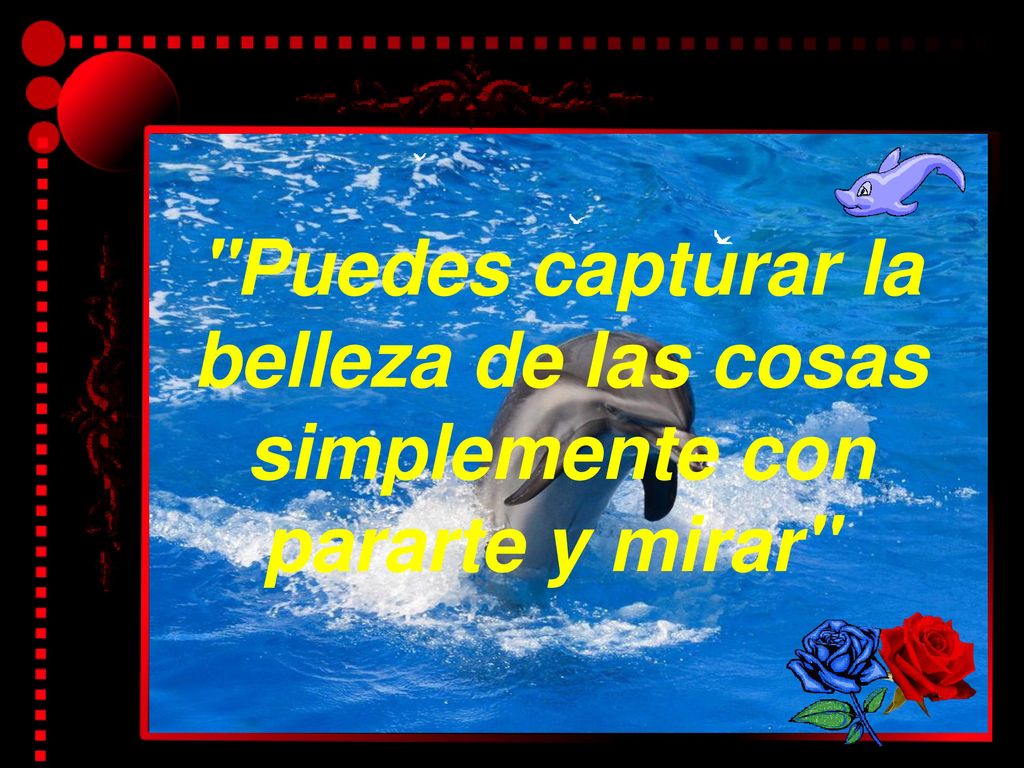 Puedes capturar la belleza de las cosas simplemente con pararte y mirar
