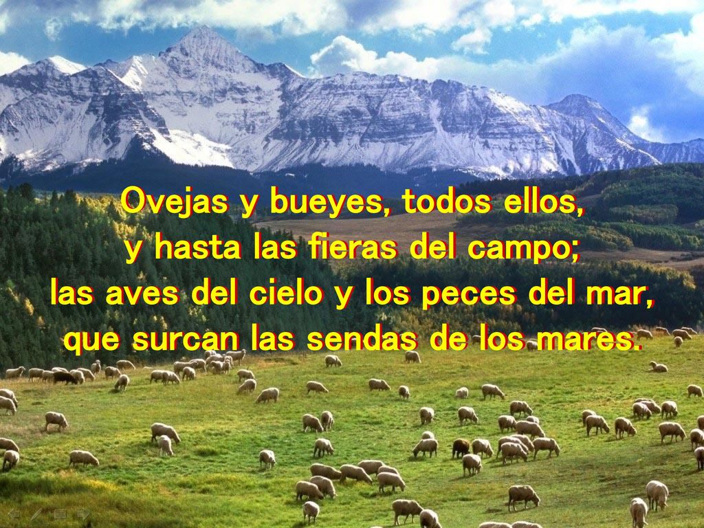Ovejas y bueyes, todos ellos, y hasta las fieras del campo;