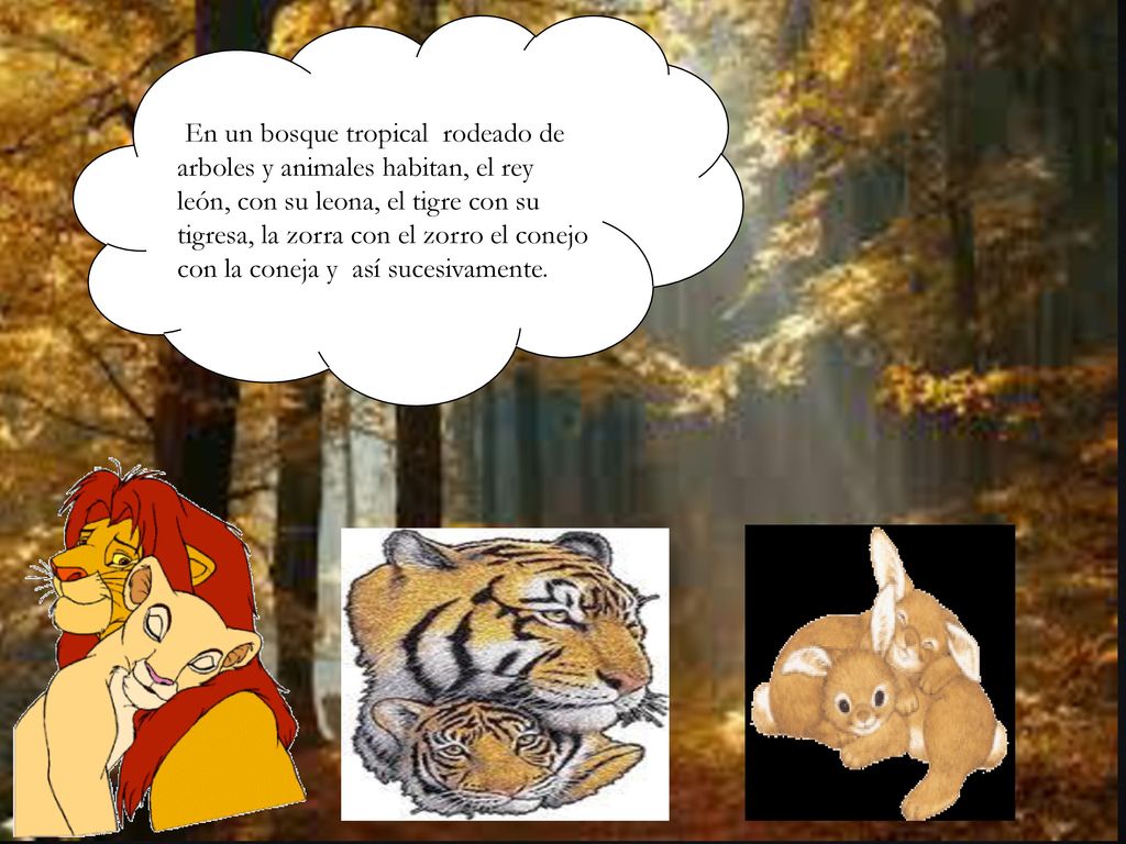En un bosque tropical rodeado de arboles y animales habitan, el rey león, con su leona, el tigre con su tigresa, la zorra con el zorro el conejo con la coneja y así sucesivamente.