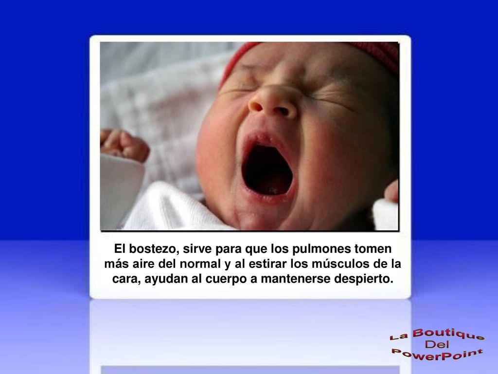El bostezo, sirve para que los pulmones tomen más aire del normal y al estirar los músculos de la cara, ayudan al cuerpo a mantenerse despierto.