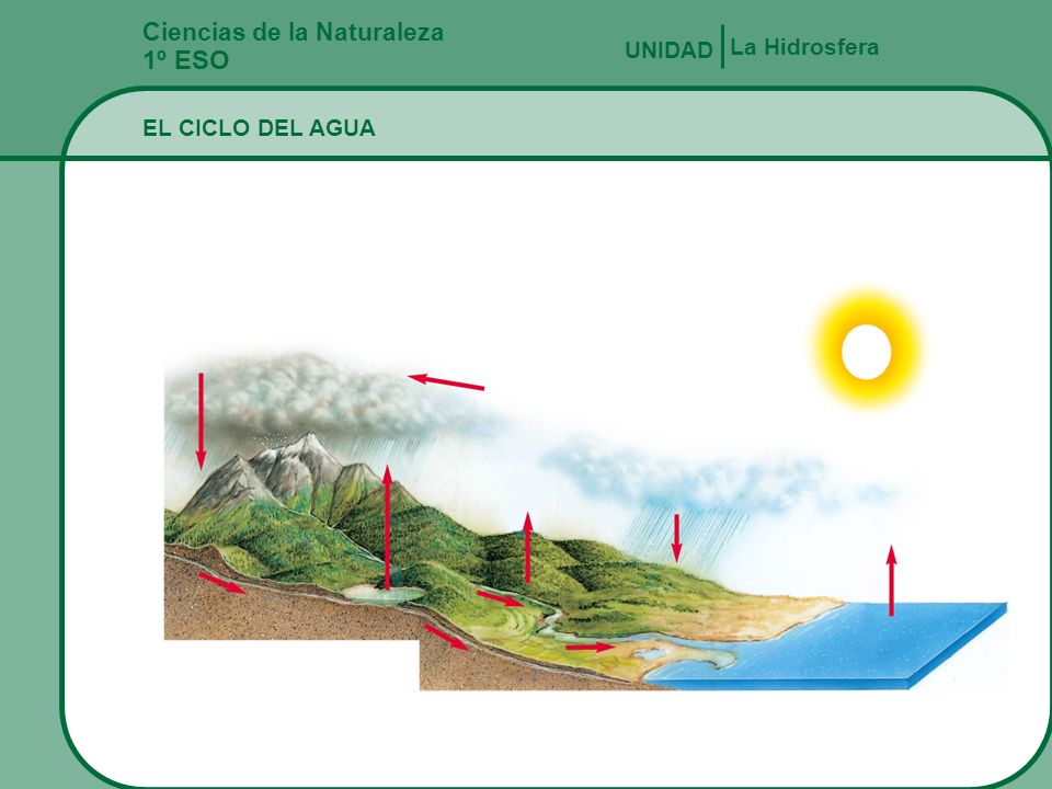 1º ESO Ciencias de la Naturaleza La Hidrosfera UNIDAD