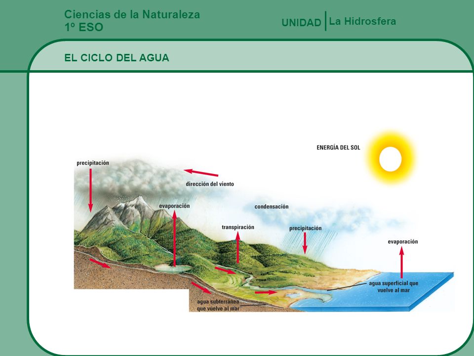 1º ESO Ciencias de la Naturaleza La Hidrosfera UNIDAD