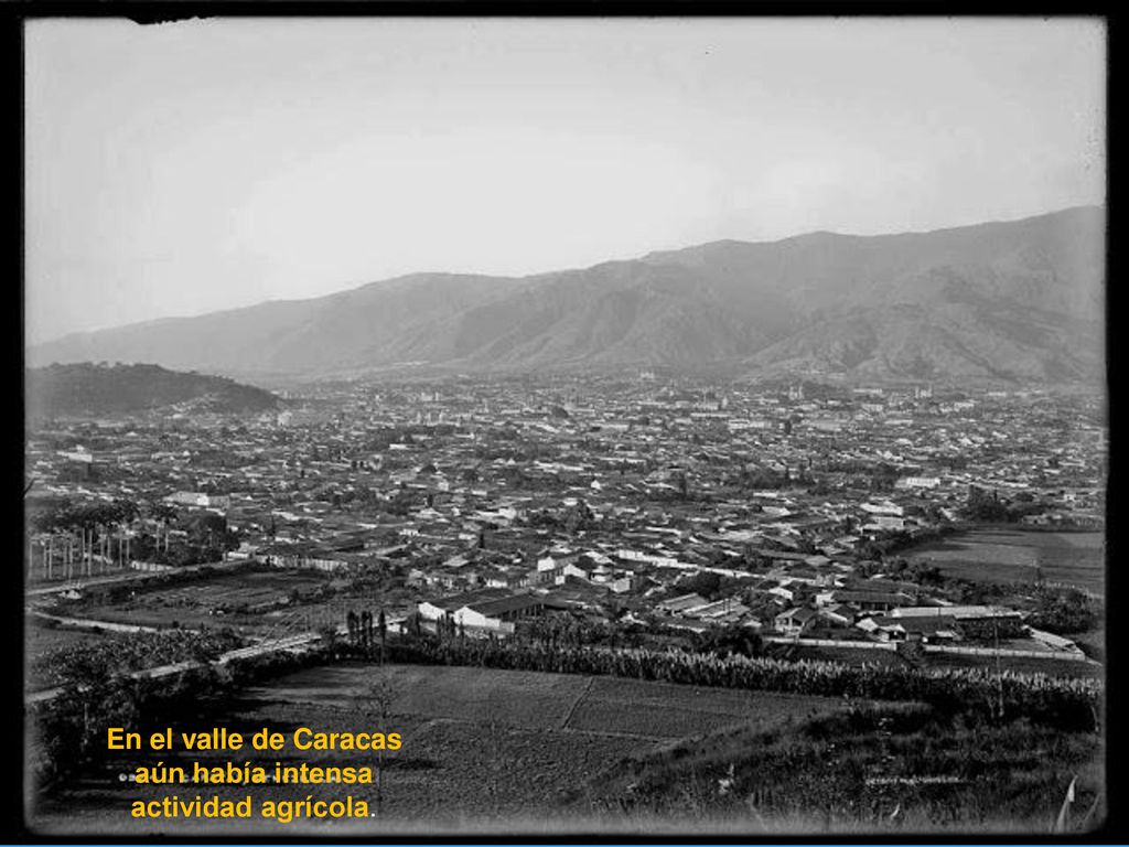 En el valle de Caracas aún había intensa actividad agrícola.