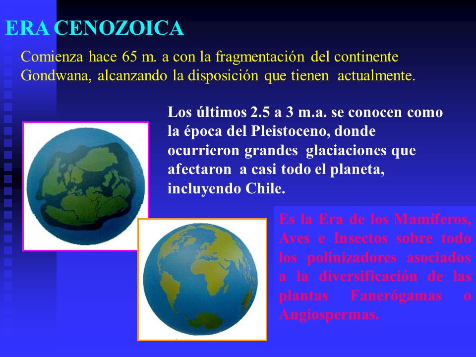 ERA CENOZOICA Comienza hace 65 m. a con la fragmentación del continente Gondwana, alcanzando la disposición que tienen actualmente.