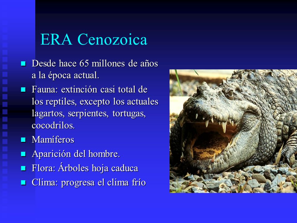 ERA Cenozoica Desde hace 65 millones de años a la época actual.