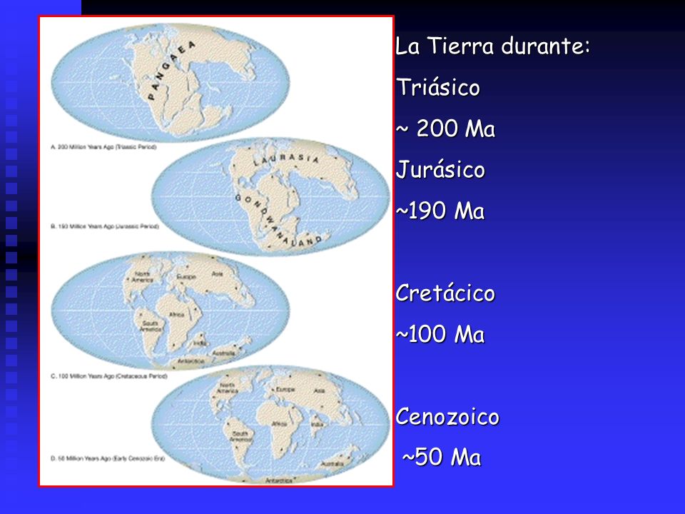 La Tierra durante: Triásico ~ 200 Ma Jurásico ~190 Ma Cretácico ~100 Ma Cenozoico ~50 Ma