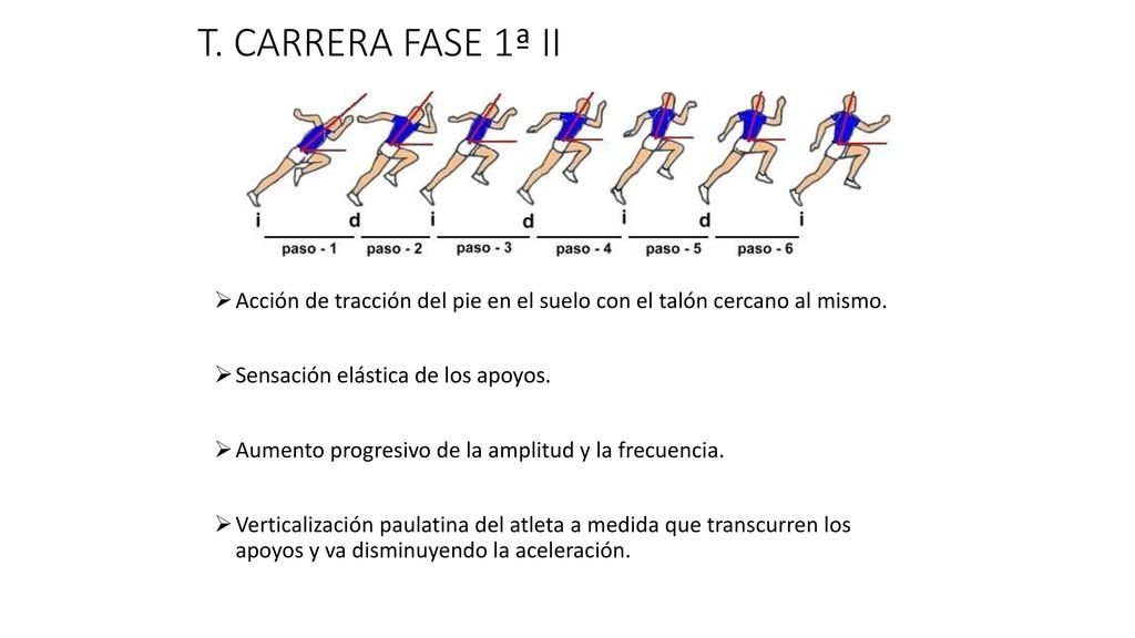 T. CARRERA FASE 1ª II Acción de tracción del pie en el suelo con el talón cercano al mismo. Sensación elástica de los apoyos.