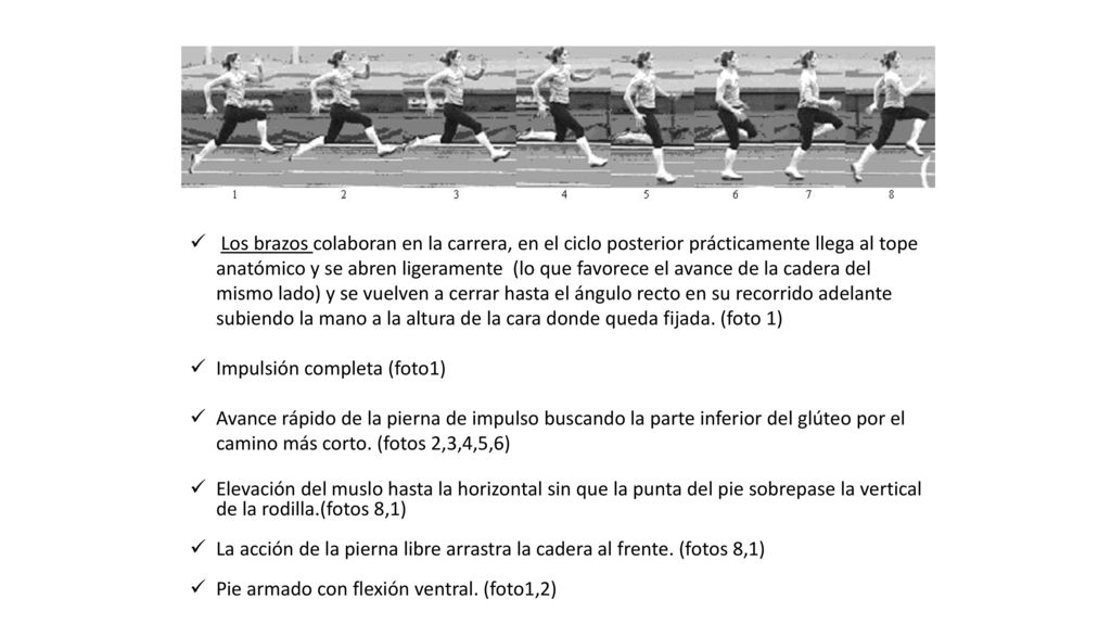 Los brazos colaboran en la carrera, en el ciclo posterior prácticamente llega al tope anatómico y se abren ligeramente (lo que favorece el avance de la cadera del mismo lado) y se vuelven a cerrar hasta el ángulo recto en su recorrido adelante subiendo la mano a la altura de la cara donde queda fijada. (foto 1)