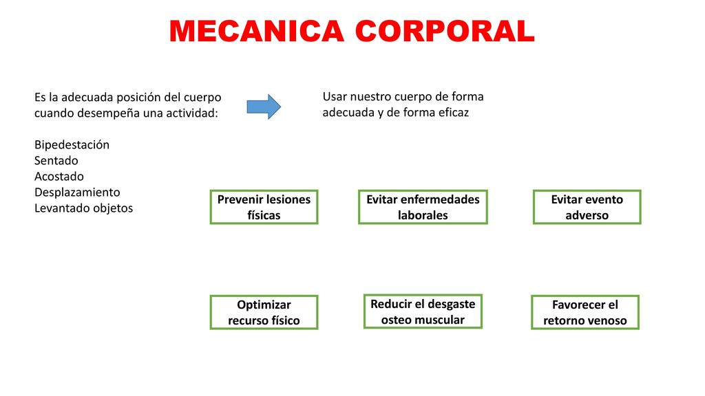 MECANICA CORPORAL Es la adecuada posición del cuerpo cuando desempeña una actividad: Bipedestación.