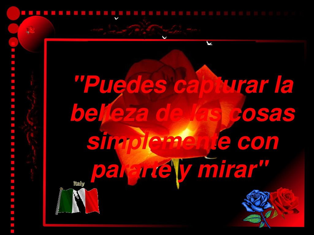 Puedes capturar la belleza de las cosas simplemente con pararte y mirar