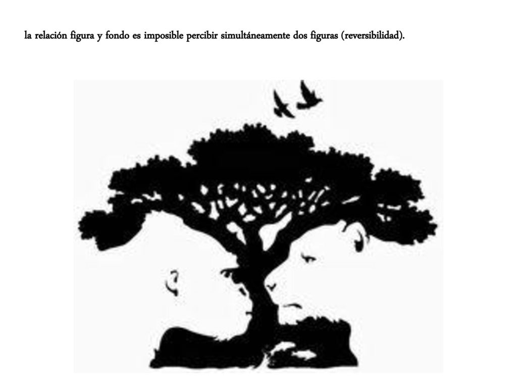 la relación figura y fondo es imposible percibir simultáneamente dos figuras (reversibilidad).
