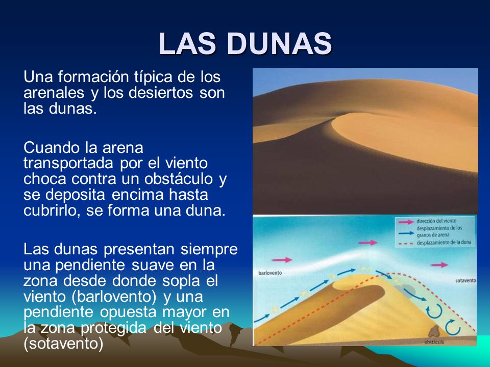 LAS DUNAS Una formación típica de los arenales y los desiertos son las dunas.