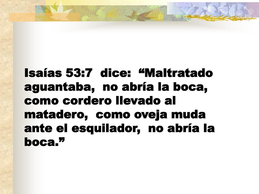 Isaías 53:7 dice: Maltratado aguantaba, no abría la boca, como cordero llevado al matadero, como oveja muda ante el esquilador, no abría la boca.