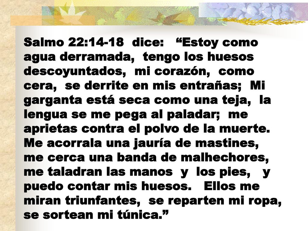 Salmo 22:14-18 dice: Estoy como agua derramada, tengo los huesos descoyuntados, mi corazón, como cera, se derrite en mis entrañas; Mi garganta está seca como una teja, la lengua se me pega al paladar; me aprietas contra el polvo de la muerte.