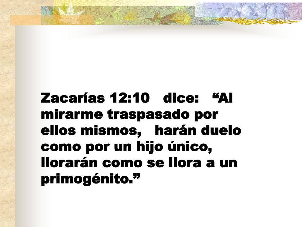 Zacarías 12:10 dice: Al mirarme traspasado por ellos mismos, harán duelo como por un hijo único, llorarán como se llora a un primogénito.