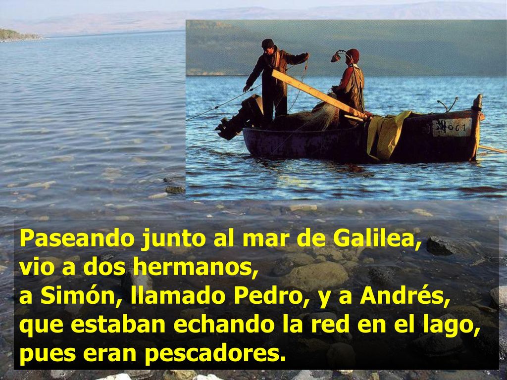 Paseando junto al mar de Galilea, vio a dos hermanos, a Simón, llamado Pedro, y a Andrés, que estaban echando la red en el lago, pues eran pescadores.