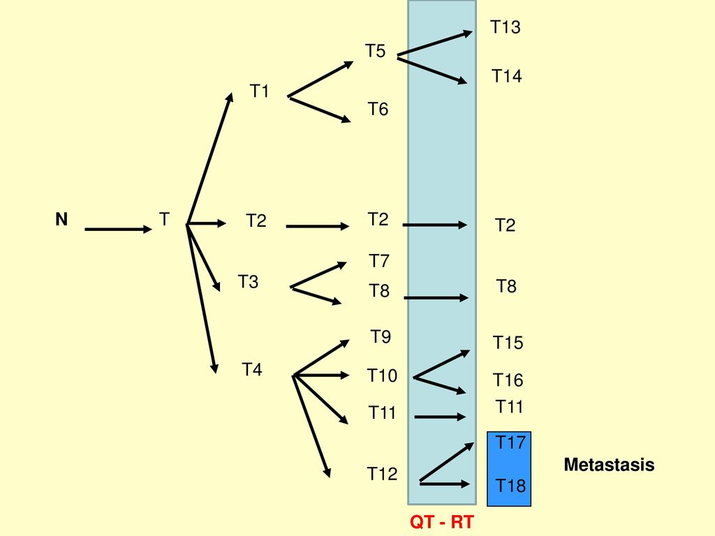 T13 T5 T14 T1 T6 N T T2 T2 T2 T7 T3 T8 T8 T9 T15 T4 T10 T16 T11 T11 T17 Metastasis T12 T18 QT - RT