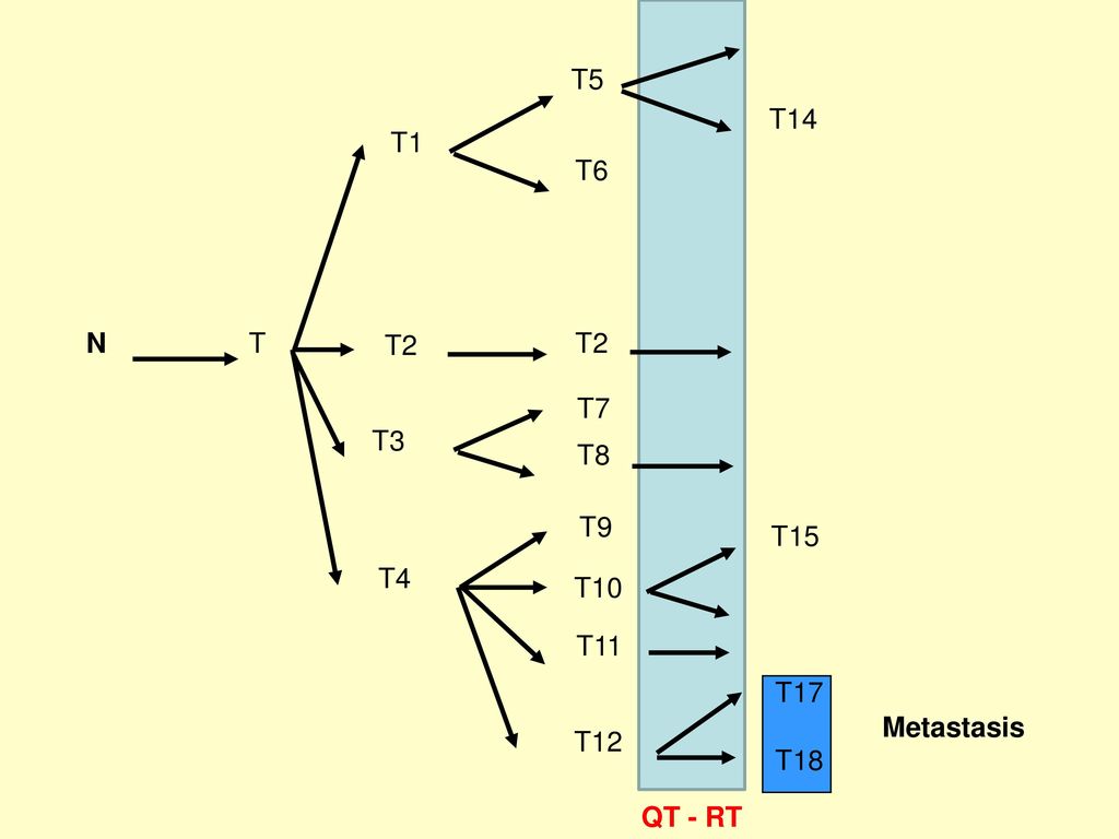 T5 T14 T1 T6 N T T2 T2 T7 T3 T8 T9 T15 T4 T10 T11 T17 Metastasis T12 T18 QT - RT