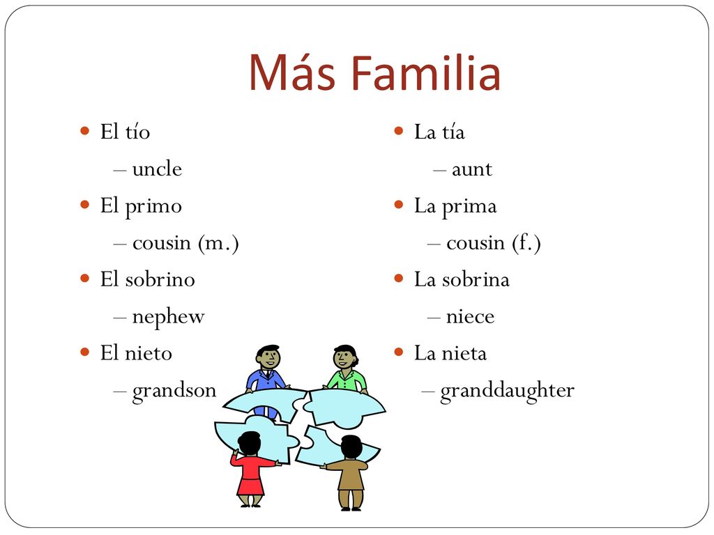 Más Familia El tío – uncle El primo – cousin (m.) El sobrino – nephew