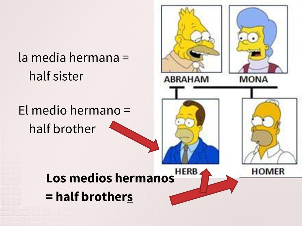 la media hermana = half sister El medio hermano = half brother Los medios hermanos = half brothers