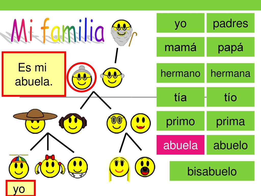 Mi familia yo padres mamá papá Es mi abuela. tía tío primo prima