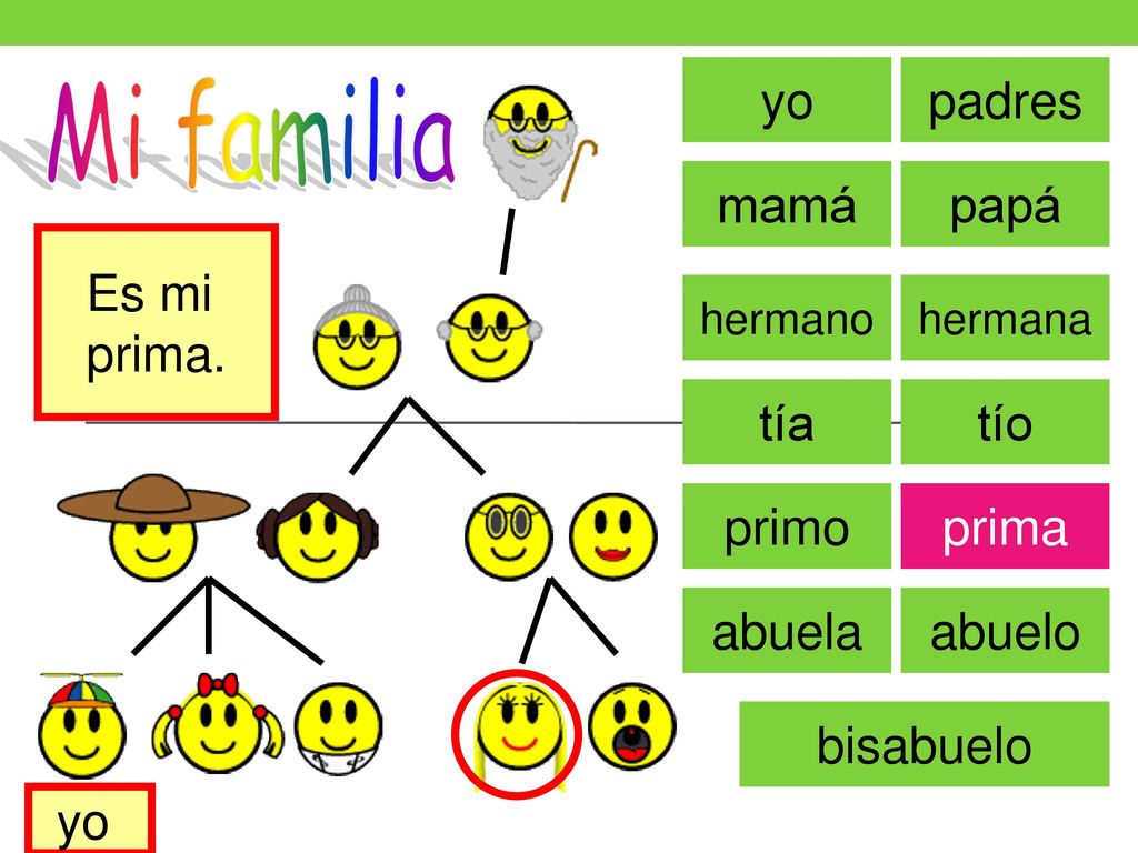 Mi familia yo padres mamá papá Es mi prima. tía tío primo prima abuela
