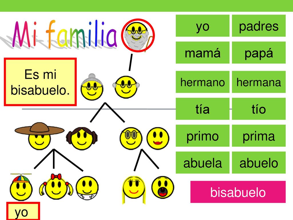 Mi familia yo padres mamá papá Es mi bisabuelo. tía tío primo prima