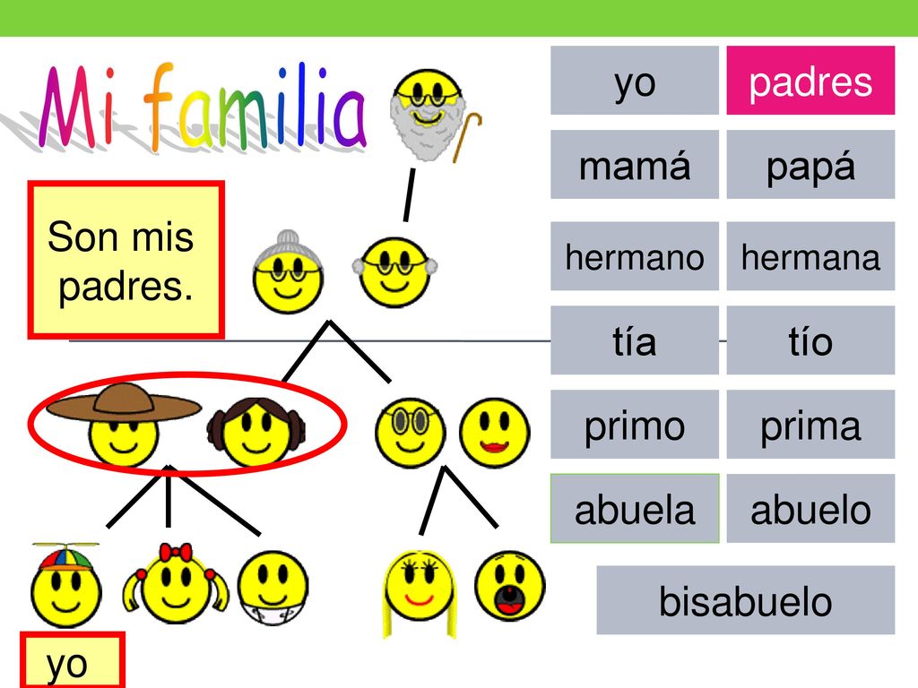 Mi familia yo padres mamá papá Son mis padres. tía tío primo prima