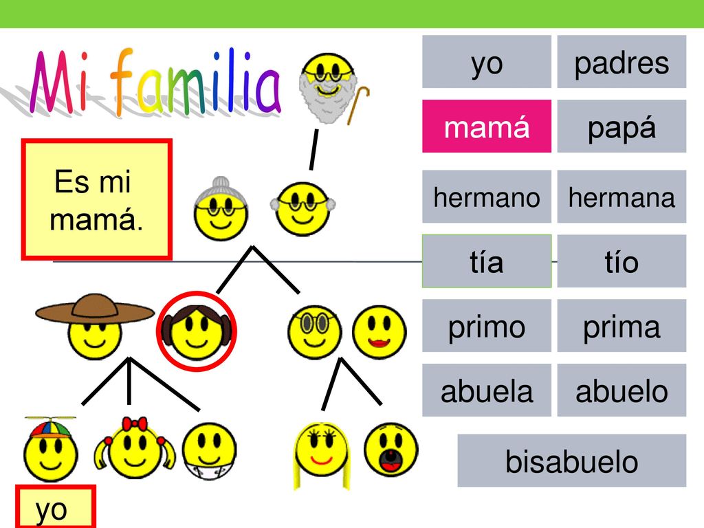 Mi familia yo padres mamá papá Es mi mamá. tía tío primo prima abuela