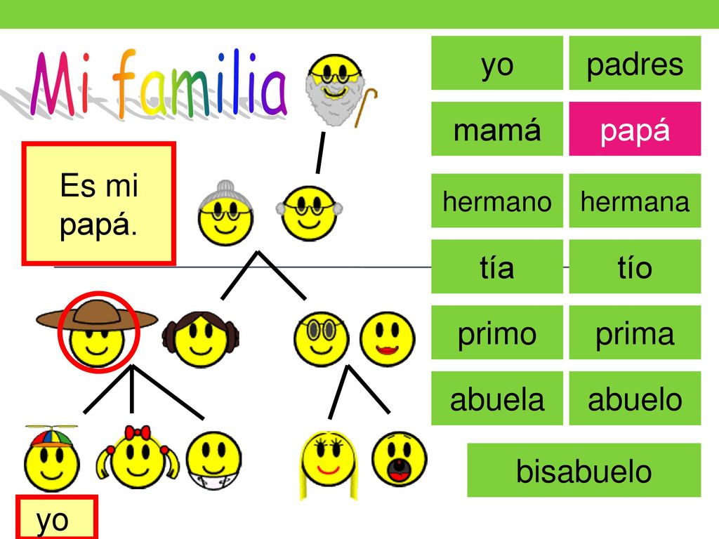 Mi familia yo padres mamá papá Es mi papá. tía tío primo prima abuela