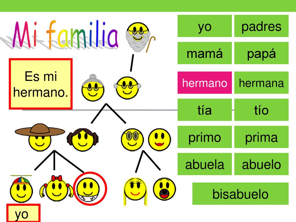 Mi familia yo padres mamá papá Es mi hermano. tía tío primo prima