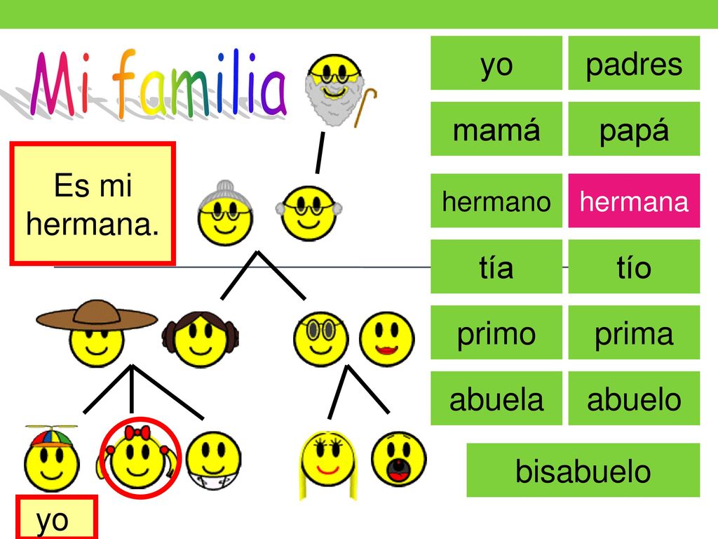 Mi familia yo padres mamá papá Es mi hermana. tía tío primo prima