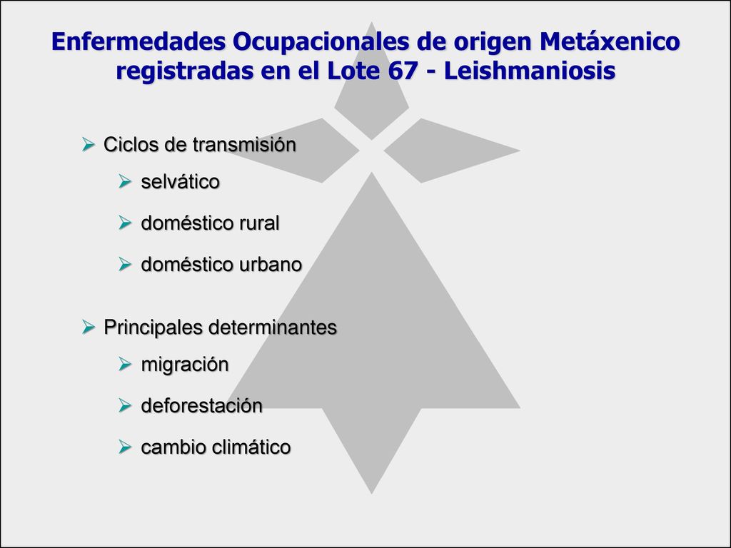 Enfermedades Ocupacionales de origen Metáxenico registradas en el Lote 67 - Leishmaniosis